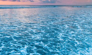 海里绿色的东西是什么 在海里绿色的东西是啥