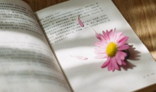 可卑和可悲有什么区别 可卑和可悲的区别