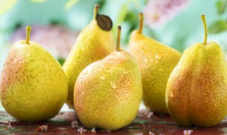 煮梨水都放什么东西 煮梨水都放哪些东西