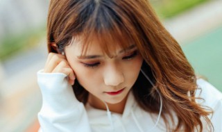 缘她歌词 缘她歌词是什么