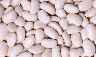 大白豆快速煮烂小窍门 大白豆如何快速煮烂