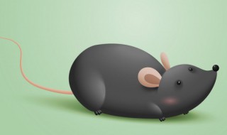 房间里有老鼠用什么方法可以解决 房间里有老鼠用什么