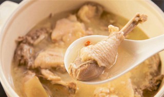 蛇炖鸡汤有什么效果 蛇炖鸡的功效和作用