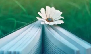 经典的名言名句 有哪些经典的名言名句