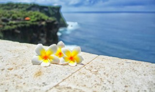 皮囊经典语录 皮囊的经典语录有哪些