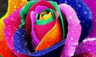 哪两种颜色可以调成蓝色 什么颜色可以调成蓝色