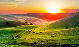 内蒙古旅游攻略必玩的景点 内蒙古旅游攻略