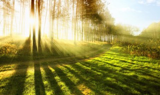 影子什么时候在前面什么时候在后面 影子在前面后面的解释