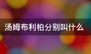 汤姆布利柏分别叫什么 汤姆布利柏分别都叫什么