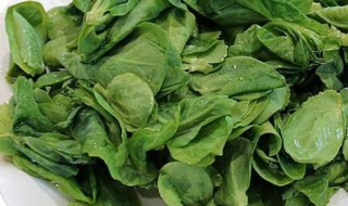 豆妃是什么蔬菜 豆妃的介绍