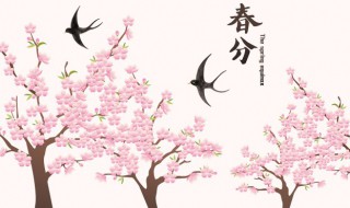 春分日日出的时间什么时候 春分的日出时间简介