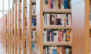 一城山色半城湖的前面一句是什么 一城山色半城湖完整句子