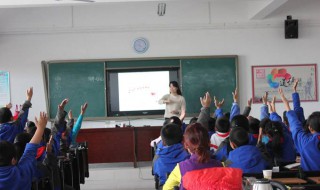 守株待兔中株的意思是什么 株字的意思简介