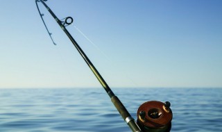 黄鸭叫几月可以钓 黄鸭叫什么时候可以钓