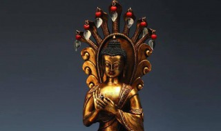 龙树菩萨圣诞是哪一天 龙树菩萨圣诞介绍