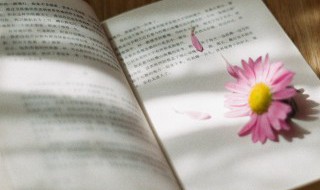 不住地惊叹成语是什么 不住地惊叹成语是哪个