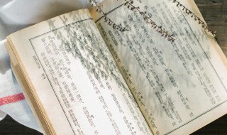 不要夸人好颜色下一句是什么 不要夸人好颜色下一句介绍