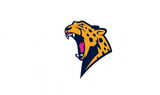 豹子英语是什么 豹子的英文单词怎么写