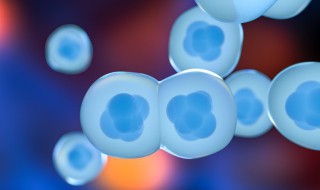 蛋白质合成的场所到底是什么?填空填什么 蛋白质合成的场所介绍