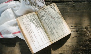 跟白露相关的诗句 跟白露相关的诗句有哪些