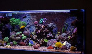 往鱼缸里放的河沙总是清洗不干净 怎样清洗鱼缸河沙