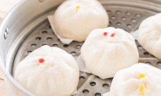 怎样发面蒸包子快而且松软 发面蒸包子快而且松软的小妙招
