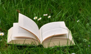 什么是非人称被动结构 非人称被动结构的理解