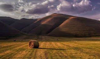 孟秋是什么意思 孟秋解释