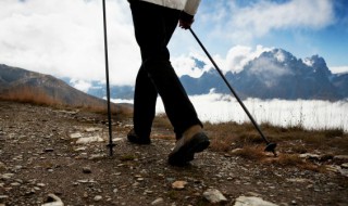 硅步千里中硅步是指什么步 硅步代表的什么步呢