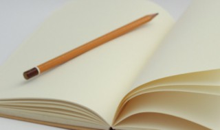 movement什么意思中文 movement的中文翻译