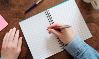 vehicle是什么意思中文 vehicle翻译