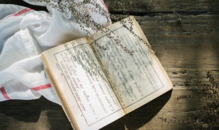 七七是什么意思 七七具体是什么意思