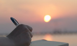 dom什么意思 dom啥意思