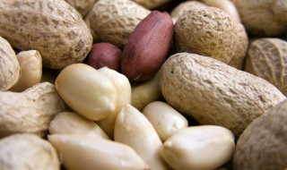 花生寓意 花生寓意是什么