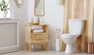 toilet什么意思 toilet翻译