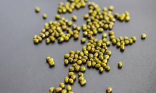 绿豆丸子的做法和配方 绿豆丸子的做法