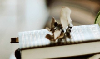 害群之马的意思 害群之马的含义