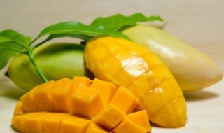 可不可以把芒果冻冰箱 芒果可不可以放冰箱