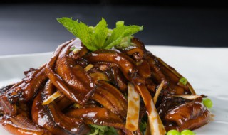 黄鳝是靠什么移动的 黄鳝移动是靠什么肢体