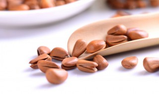 黑松子和红松子的区别 关于黑松子和红松子的区别