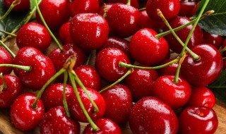 樱桃有什么特殊含义 樱桃的含义