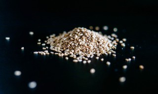 怎么样鉴别白芝麻好坏 鉴别白芝麻好坏的方法