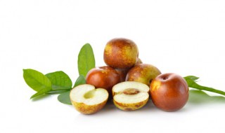 枣子是什么季节成熟的 关于枣的介绍