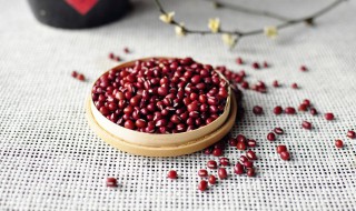 红豆为什么被称为相思豆 红豆被称为相思豆的原因