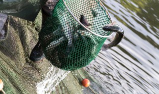逮白条鱼用什么浮网还是沉网 渔网选择方法