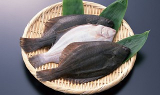 比目鱼 为什么叫比目鱼 比目鱼介绍