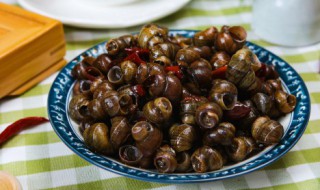 田螺里面好多小田螺 田螺里面为什么有好多小田螺