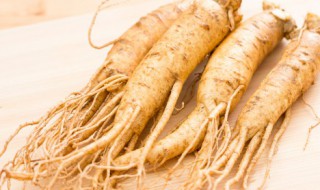 太子参的副作用太大了 太子参作用