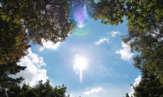 从什么时候开始就昼长夜短了 开始就昼长夜短的时间点