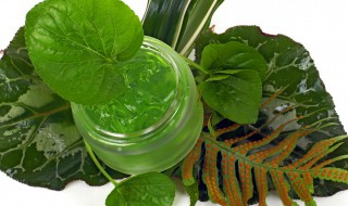 涂抹芦荟胶之前可以涂爽肤水吗 用芦荟胶前可以涂爽肤水吗